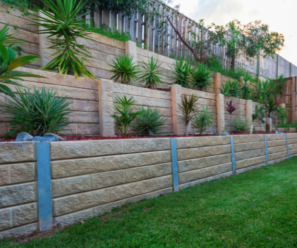 Retaining Wall With Recently Planted Native Species Of Plant